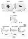 Fig. 08 - Oxygen gradient hydrogel drug screening