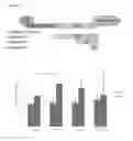 Fig. 03 - IN VITRO PRODUCTION OF PANCREATIC BETA CELLS