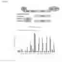 Fig. 04 - IN VITRO PRODUCTION OF PANCREATIC BETA CELLS