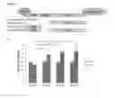 Fig. 05 - IN VITRO PRODUCTION OF PANCREATIC BETA CELLS