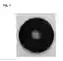 Fig. 04 - LACTIC ACID-UTILIZING BACTERIA GENETICALLY MODIFIED TO SECRETE POLYSACCHARIDE-DEGRADING ENZYMES