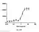 Fig. 65 - PRODUCTS AND METHODS FOR ASSESSING AND INCREASING KLOTHO PROTEIN LEVELS