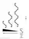 Fig. 09 - COMPOSITIONS AND METHODS FOR SEQUENCING NUCLEIC ACIDS