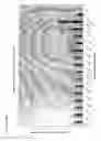 Fig. 22 - Modified RNAi polynucleotides and uses thereof