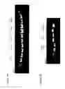 Fig. 33 - Modified RNAi polynucleotides and uses thereof