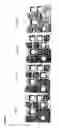 Fig. 02 - Dual transit peptides for targeting polypeptides