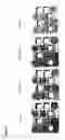 Fig. 09 - Dual transit peptides for targeting polypeptides