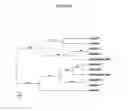 Fig. 07 - Plants with reduced asparagine content