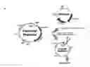 Fig. 01 - A METHOD FOR HIGH LEVEL AND STABLE GENE TRANSFER IN LYMPHOCYTES