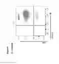 Fig. 22 - A METHOD FOR HIGH LEVEL AND STABLE GENE TRANSFER IN LYMPHOCYTES