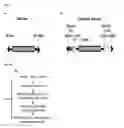 Fig. 02 - Enhanced sleeping beauty transposons, kits and methods of transposition