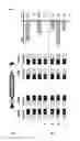 Fig. 07 - Enhanced sleeping beauty transposons, kits and methods of transposition