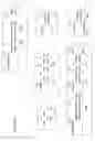 Fig. 23 - DNA-binding proteins and uses thereof