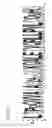 Fig. 24 - DNA-binding proteins and uses thereof