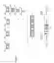 Fig. 25 - DNA-binding proteins and uses thereof