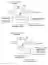 Fig. 01 - Methods and compositions or RNA-directed target DNA modification and for RNA-directed modulation of transcription