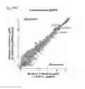 Fig. 115 - Methods and compositions or RNA-directed target DNA modification and for RNA-directed modulation of transcription