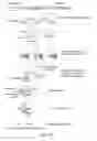 Fig. 25 - Methods and compositions or RNA-directed target DNA modification and for RNA-directed modulation of transcription