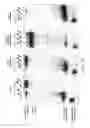 Fig. 37 - Methods and compositions or RNA-directed target DNA modification and for RNA-directed modulation of transcription