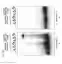Fig. 48 - Methods and compositions or RNA-directed target DNA modification and for RNA-directed modulation of transcription