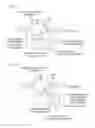Fig. 02 - Methods and compositions for RNA-directed target DNA modification and for RNA-directed modulation of transcription