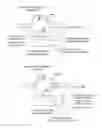 Fig. 01 - Methods and compositions for RNA-directed target DNA modification and for RNA-directed modulation of transcription