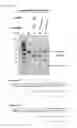 Fig. 22 - Methods and compositions for RNA-directed target DNA modification and for RNA-directed modulation of transcription