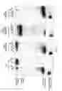 Fig. 37 - Methods and compositions for RNA-directed target DNA modification and for RNA-directed modulation of transcription