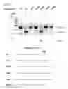 Fig. 50 - Methods and compositions for RNA-directed target DNA modification and for RNA-directed modulation of transcription