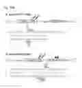 Fig. 71 - Methods and compositions for RNA-directed target DNA modification and for RNA-directed modulation of transcription