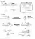 Fig. 97 - Methods and compositions for RNA-directed target DNA modification and for RNA-directed modulation of transcription
