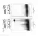 Fig. 48 - METHODS AND COMPOSITIONS FOR RNA-DIRECTED TARGET DNA MODIFICATION AND FOR RNA-DIRECTED MODULATION OF TRANSCRIPTION