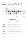 Fig. 50 - METHODS AND COMPOSITIONS FOR RNA-DIRECTED TARGET DNA MODIFICATION AND FOR RNA-DIRECTED MODULATION OF TRANSCRIPTION