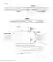 Fig. 57 - METHODS AND COMPOSITIONS FOR RNA-DIRECTED TARGET DNA MODIFICATION AND FOR RNA-DIRECTED MODULATION OF TRANSCRIPTION