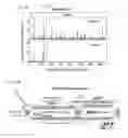 Fig. 101 - METHODS AND COMPOSITIONS FOR RNA-DIRECTED TARGET DNA MODIFICATION AND FOR RNA-DIRECTED MODULATION OF TRANSCRIPTION