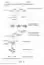 Fig. 25 - METHODS AND COMPOSITIONS FOR RNA-DIRECTED TARGET DNA MODIFICATION AND FOR RNA-DIRECTED MODULATION OF TRANSCRIPTION