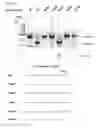 Fig. 50 - METHODS AND COMPOSITIONS FOR RNA-DIRECTED TARGET DNA MODIFICATION AND FOR RNA-DIRECTED MODULATION OF TRANSCRIPTION