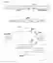 Fig. 57 - METHODS AND COMPOSITIONS FOR RNA-DIRECTED TARGET DNA MODIFICATION AND FOR RNA-DIRECTED MODULATION OF TRANSCRIPTION