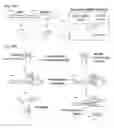 Fig. 97 - METHODS AND COMPOSITIONS FOR RNA-DIRECTED TARGET DNA MODIFICATION AND FOR RNA-DIRECTED MODULATION OF TRANSCRIPTION