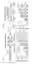 Fig. 99 - METHODS AND COMPOSITIONS FOR RNA-DIRECTED TARGET DNA MODIFICATION AND FOR RNA-DIRECTED MODULATION OF TRANSCRIPTION