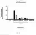 Fig. 10 - Compositions and methods for treating CEP290 associated disease