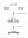 Fig. 01 - Gene Synthesis by Self-Assembly of Small Oligonucleotide Building Blocks