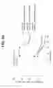 Fig. 08 - METHODS OF DECREASING TRISULFIDE BONDS DURING RECOMBINANT PRODUCTION OF POLYPEPTIDES