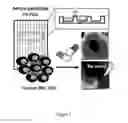 Fig. 02 - SYSTEMS AND METHODS FOR MODELING DISEASE AND ASSESSING ADVERSE SIDE EFFECTS OF THERAPEUTICS THEREFOR