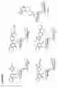 Fig. 09 - Methods for detecting mycobacteria with solvatochromic dye conjugates