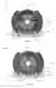 Fig. 32 - Portable molecular diagnostic device and methods for the detection of target viruses