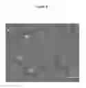 Fig. 06 - Compositions and methods for measuring bacterial growth