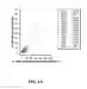 Fig. 09 - Process for microsatellite instability detection