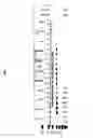 Fig. 08 - COMPOSITIONS AND METHODS FOR ANALYZING NUCLEIC ACIDS ASSOCIATED WITH AN ANALYTE