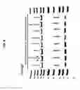 Fig. 09 - COMPOSITIONS AND METHODS FOR ANALYZING NUCLEIC ACIDS ASSOCIATED WITH AN ANALYTE